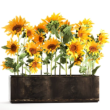 Rustic Sunflower Collection 3D model image 1 