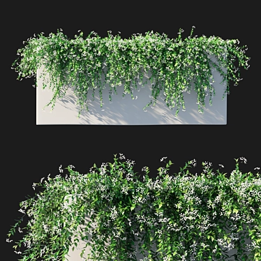 Trachelospermum Jasminoides: Stunning Floral Ornament 3D model image 1 