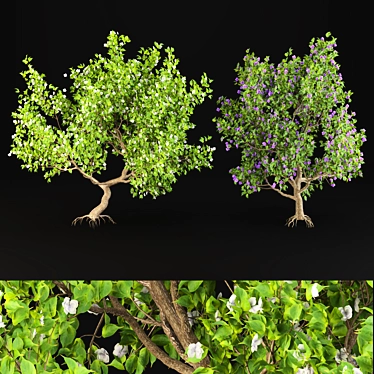 Premium Trees for Gardens and Streets 3D model image 1 