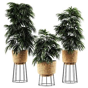 Elegant Bamboo Vase Plant 3D model image 1 