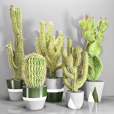 Decorative Cactus Vase | Indoor Plant 3D model image 1 