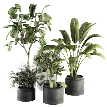 260 Indoor Plant Set - Pot Included 3D model image 1 