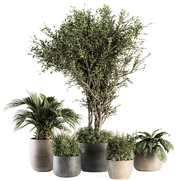 Big Outdoor Plant Set - Pot 3D model image 1 
