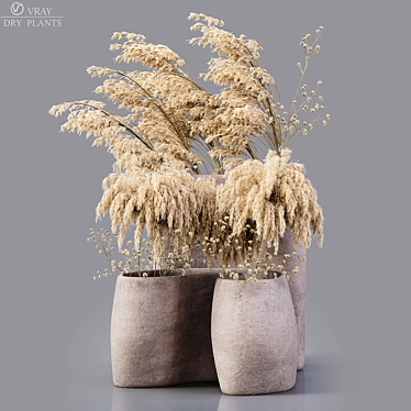 Desert Oasis: Dried Flora 3D model image 1 
