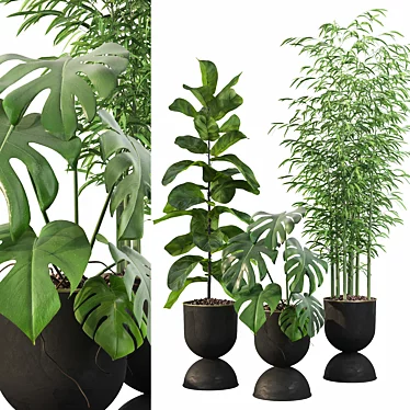 Green Oasis: Monstera, Ficus Lyrata, Bamboo 3D model image 1 