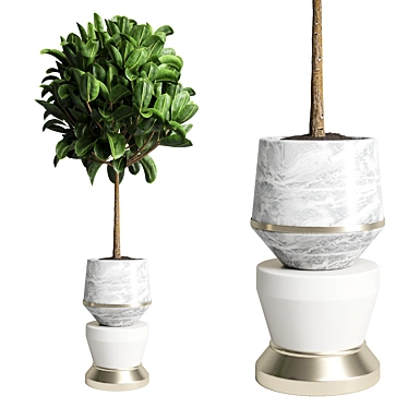 90 Indoor Plant Marble Vase - Ficus Rubbery 3D model image 1 