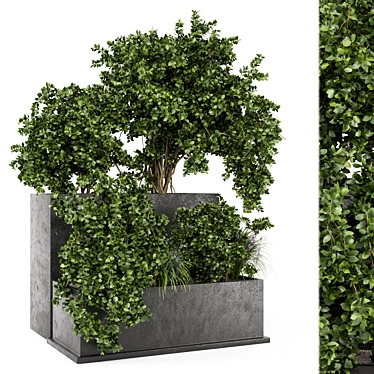 Rustic Outdoor Planter Set in Concrete Pot 3D model image 1 