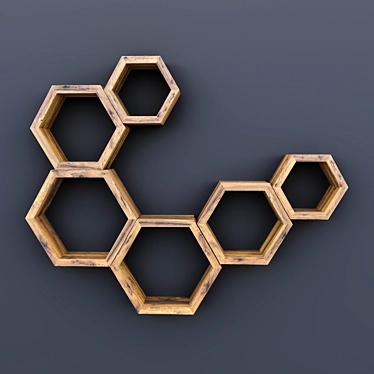 Modular Hexagon Wall Shelf 3D model image 1 
