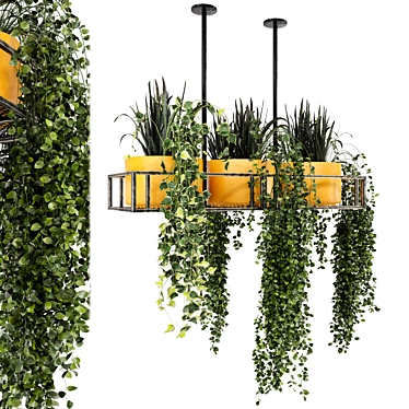 Metal Box Hanging Indoor Plants - Set of 210 3D model image 1 