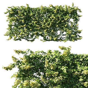 Virginia Creeper Sculpture: 2013 Edition 3D model image 1 