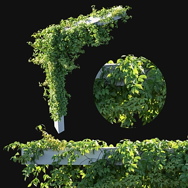 Virginia Creeper 03 - 2013 Millimeter Dimensions 3D model image 1 