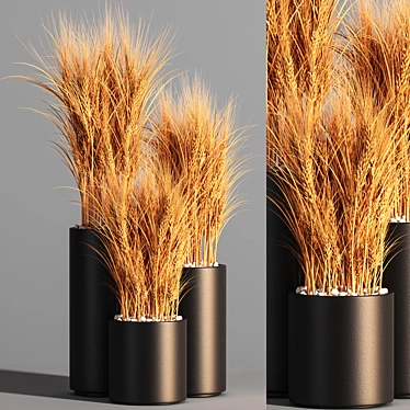 Indoor Zen Wheat Plant Set 3D model image 1 