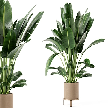 Ferm Living Bau Pot: Set of Large Indoor Plants 3D model image 1 