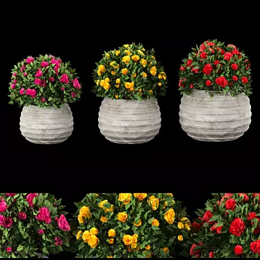 Colorful Blooming Bush Collection 3D model image 1 