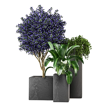 2015 Outdoor Plants Set: V-Ray/Corona 3D model image 1 