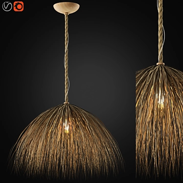 Zagg Ceiling Lamp 09 Design 3D model image 1 