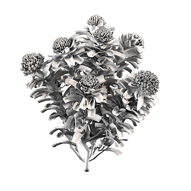 Waratah Telepea Speciosissima 2013: Stunning 3D Model 3D model image 1 