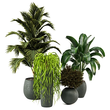 Green Oasis - Set of Indoor Plants 3D model image 1 