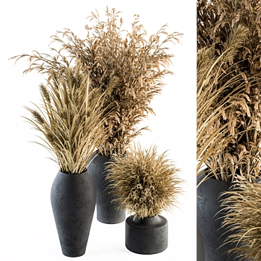 Title: Botanic Bunch: Dried Plants 81 3D model image 1 