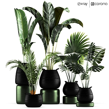 Green Oasis Plant Set - Indoor & Outdoor Pot Plants 3D model image 1 