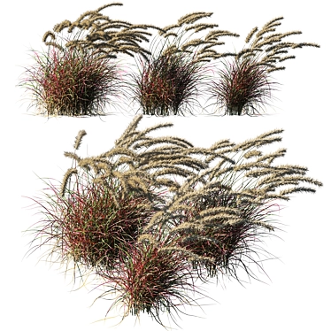 Purple Wind Grass: 2013 Millimeter Edition 3D model image 1 