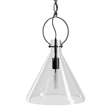 Elegant Clear Limoges Pendant 3D model image 1 