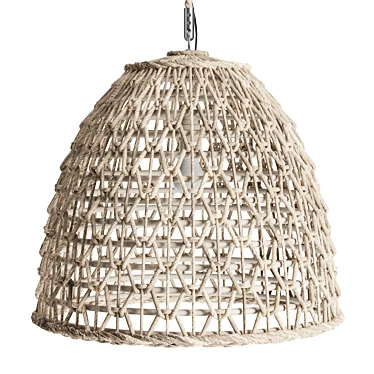 Natural Rattan Dome Pendant 3D model image 1 