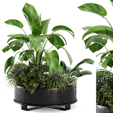 Rusty Metal Pot Outdoor Plants Set 3D model image 1 