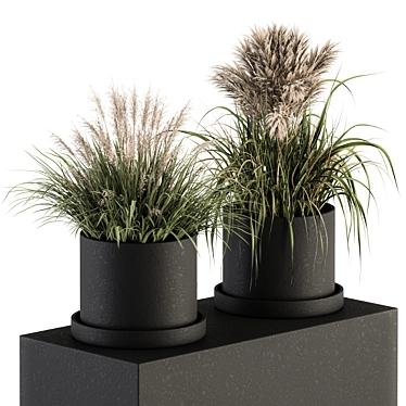 Green Oasis: Mini Indoor Plant Set 3D model image 1 