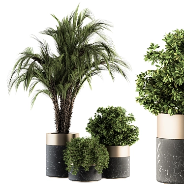 Green Oasis: Indoor Plant Set in Pot 3D model image 1 