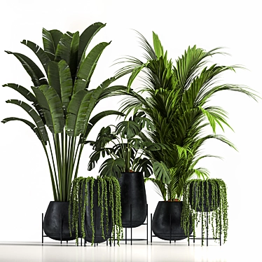 Stylish Indoor Plant Set06 3D model image 1 