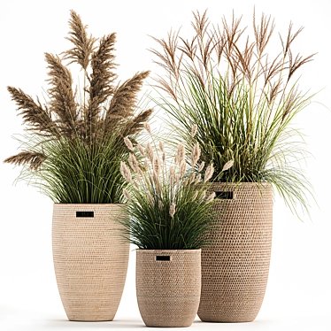 Exotic Plant Collection: Indoor & Outdoor Decor 3D model image 1 