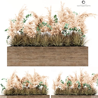 Elegant Pampas Plant for Indoors 3D model image 1 