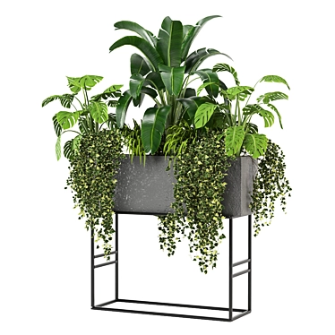 Green Oasis Indoor Plants Collection 3D model image 1 