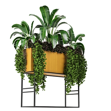 Green Oasis Indoor Plant Set 3D model image 1 