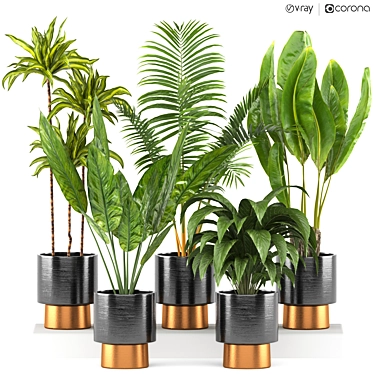 5-Piece Indoor Plant Set 3D model image 1 