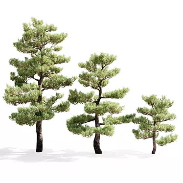 Pristine Pines: Realistic Pine Trees 3D model image 1 