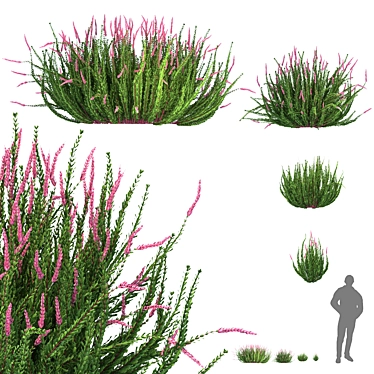 Versatile Outdoor Bush Collection 3D model image 1 