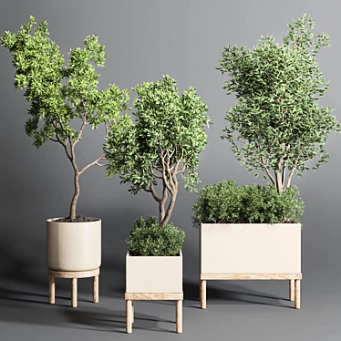 Collection Wood Vase Pot: Indoor Outdoor Plant 3D model image 1 