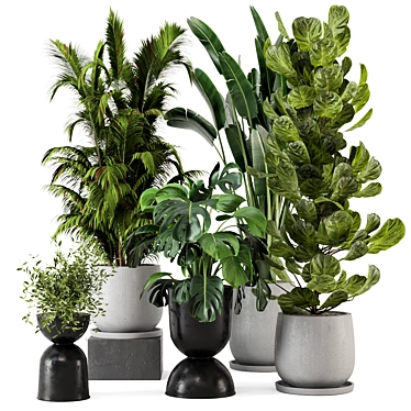 Ferm Living Bau Indoor Plant Set 3D model image 1 