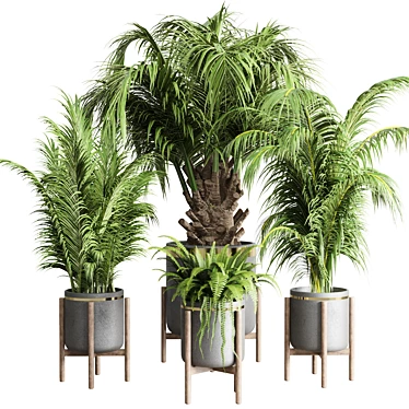 Concrete Vase Palm Fern: Indoor Plant Collection 3D model image 1 