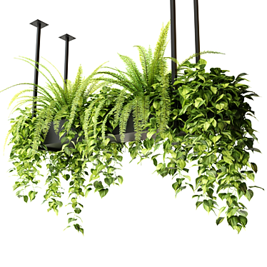 Rectangular Hanging Indoor Planters 3D model image 1 