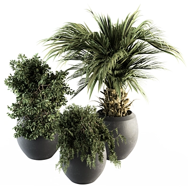 Indoor Oasis: 277 Plant Set 3D model image 1 
