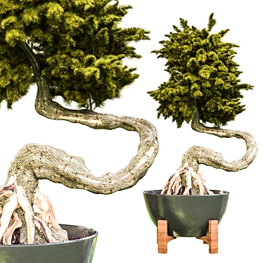 Bonsai Vol. 09 3D Model 3D model image 1 