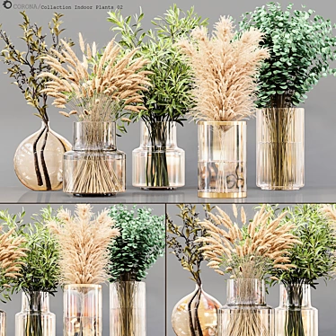 Stunning Collaction Indoor Plants 3D model image 1 