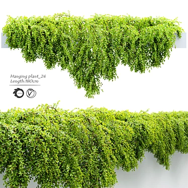 24-Inch Hanging Plant: Lengthy, Vibrant, and Versatile 3D model image 1 