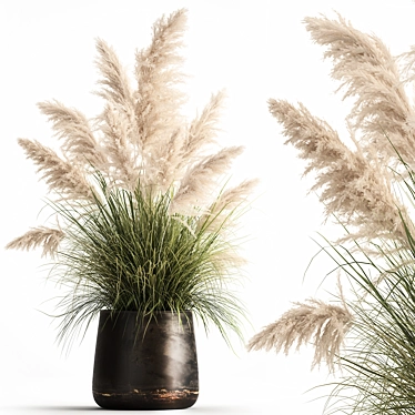 Exotic Plant Collection: Decorative Plants for Indoor and Outdoor Spaces 3D model image 1 
