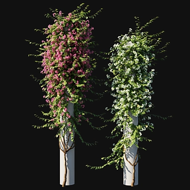 Elegant Bougainvillea Plant 05 3D model image 1 