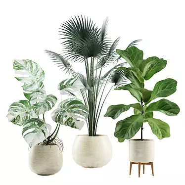 Tropical Indoor Plant Set 3D model image 1 