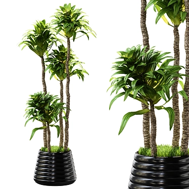 Exquisite Plants Collection 2014 3D model image 1 